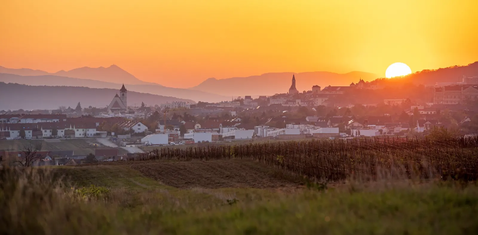 Blick über Eisenstadt