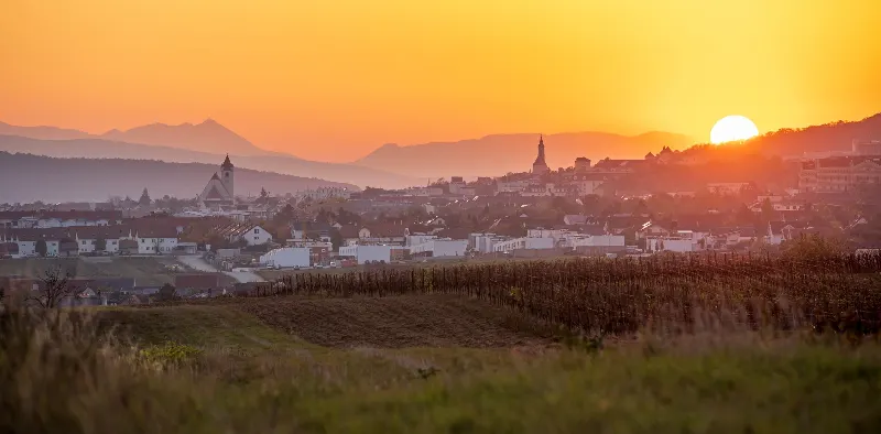 Blick über Eisenstadt