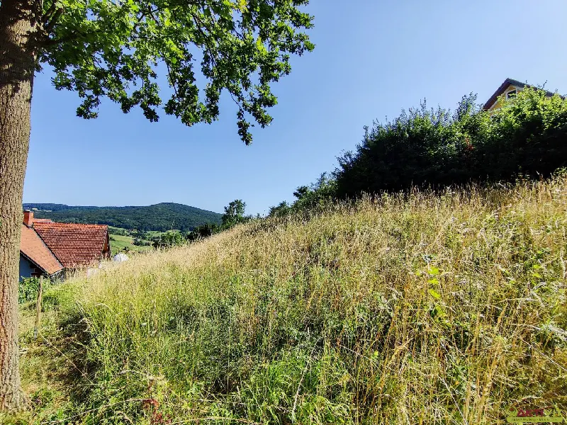Attraktiver Baugrund mit 1.860 m² Bauland und Projekt für Mehrfamilienhaus.
